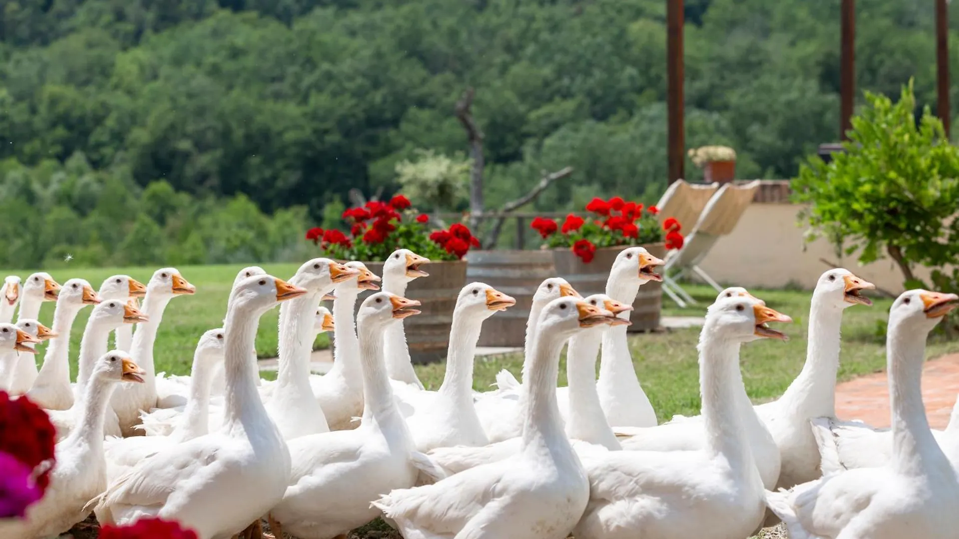 Agriturismo La Capanna Montespertoli