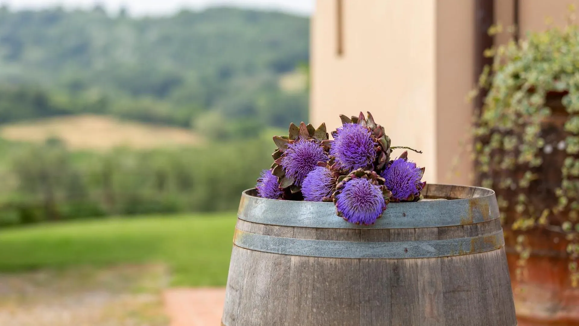 Agriturismo La Capanna Montespertoli 0*,